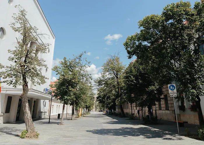 Contessa Central Apartment